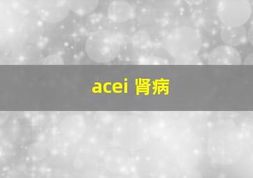 acei 肾病